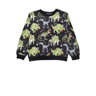 Sweatshirt ´Dinoallover´ black