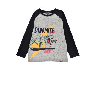 T-Shirt langarm ´Dino´ grey-melange